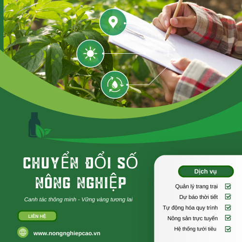 Nông Nghiệp 4.0 – Xu Hướng Phát Triển Bền Vững Trong Thời Đại Số